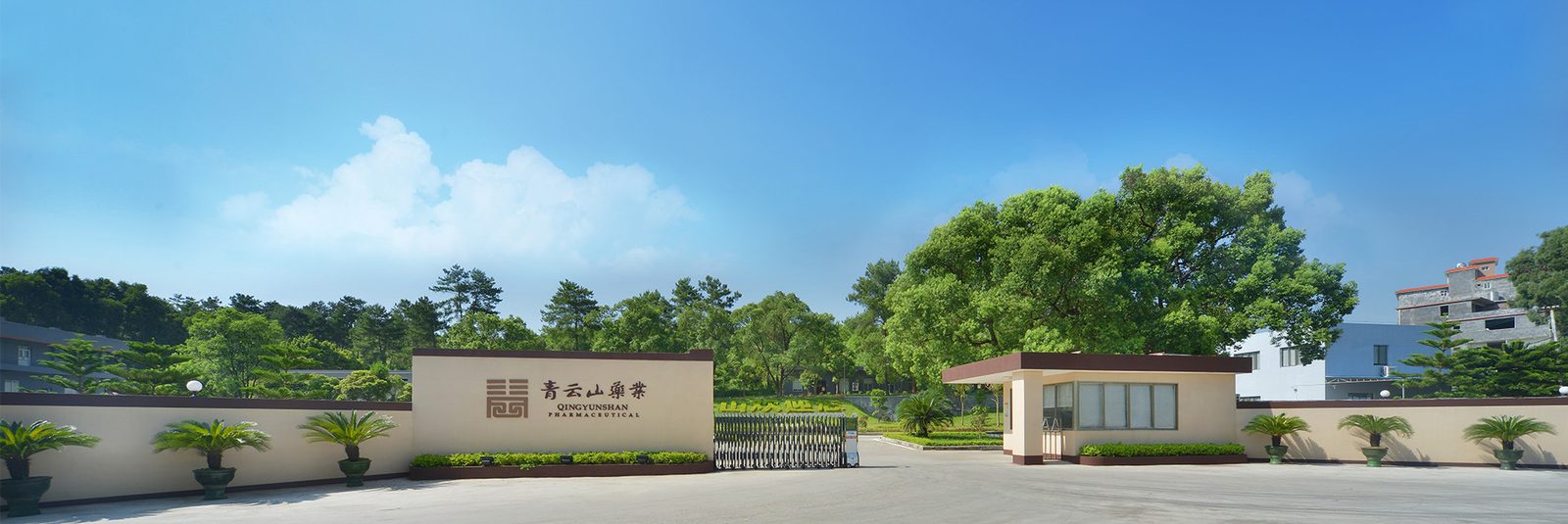 广东青云山药业